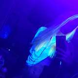 princessdarkness666free from onlyfans