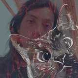 redcat_cola from onlyfans