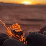 meatmojo from onlyfans