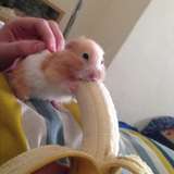 lilith_princess from onlyfans